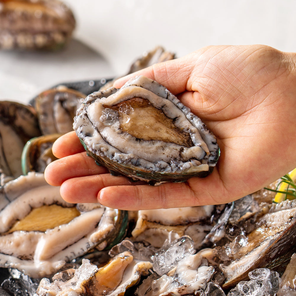 Frozen Abalone X-Large 1kg (8~9ea)