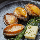 Frozen Abalone X-Large 1kg (8~9ea)