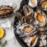 Frozen Abalone X-Large 1kg (8~9ea)