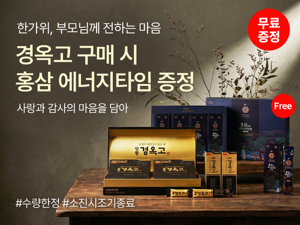 260911 경옥고