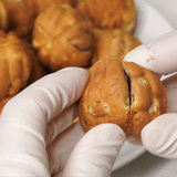 [Hakhwa1934] Walnut Cake with Red Bean Paste 600g (20g x 30ea) x 7pk_ Free Shipping