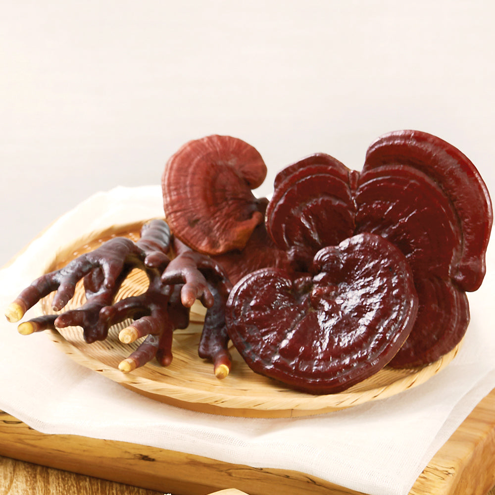 Family Size Batch Brew Reishi Mushroom Tea (2.5g x 10ea)