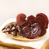 Family Size Batch Brew Reishi Mushroom Tea (2.5g x 10ea)