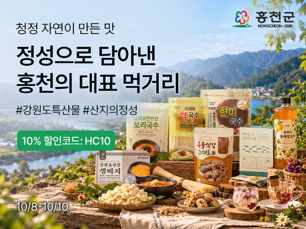 261008 홍천군 지원사업