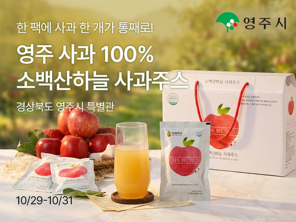 261029 영주시