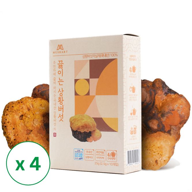 [솔룸바이오텍] 끓이는 상황버섯 (2.5g x 10ea) x 4 박스_무료배송특가 (묶음)