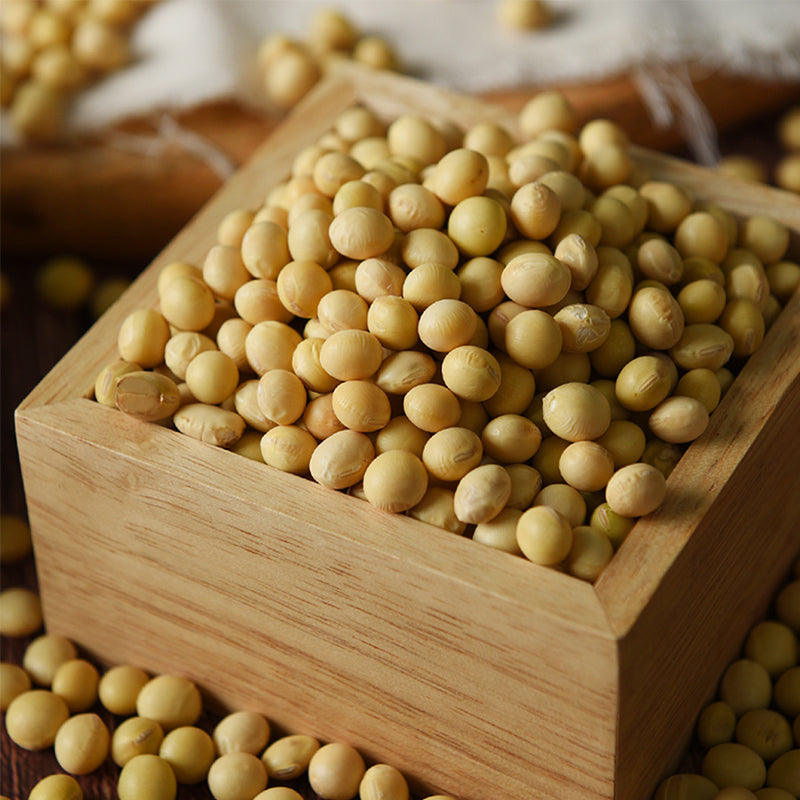 [바른곡물] 백태 1.6kg x 3팩_ 무료배송 (묶음)